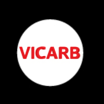VICARB换热器橡胶垫 2